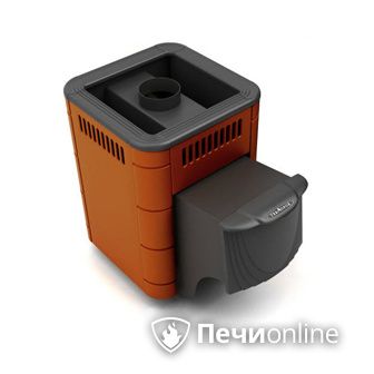Дровяная банная печь TMF Оса Carbon терракота дверь антрацит в Нижнем Новгороде